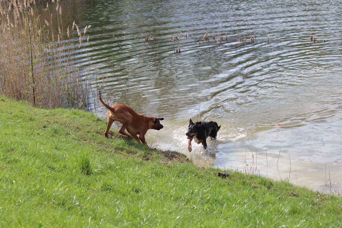 Besuch von Calou