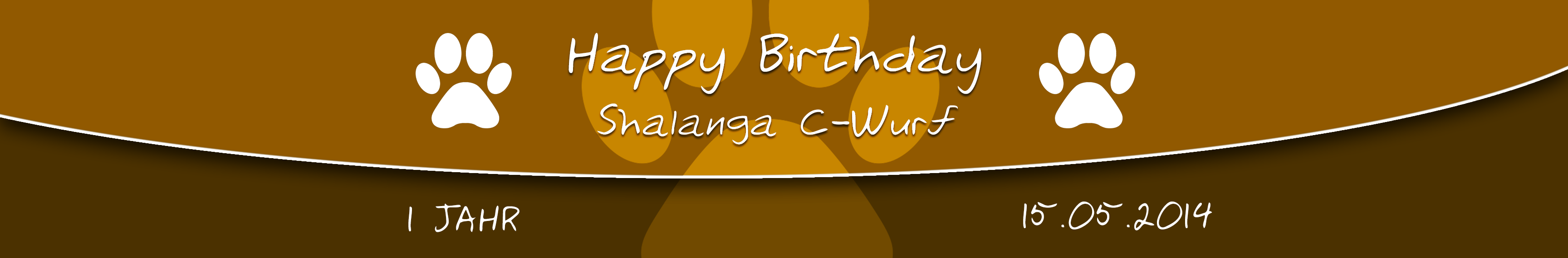 Unser C-Wurf wird 1 Jahr alt!