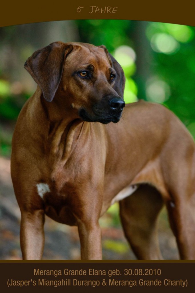 Elana 5 Jahre