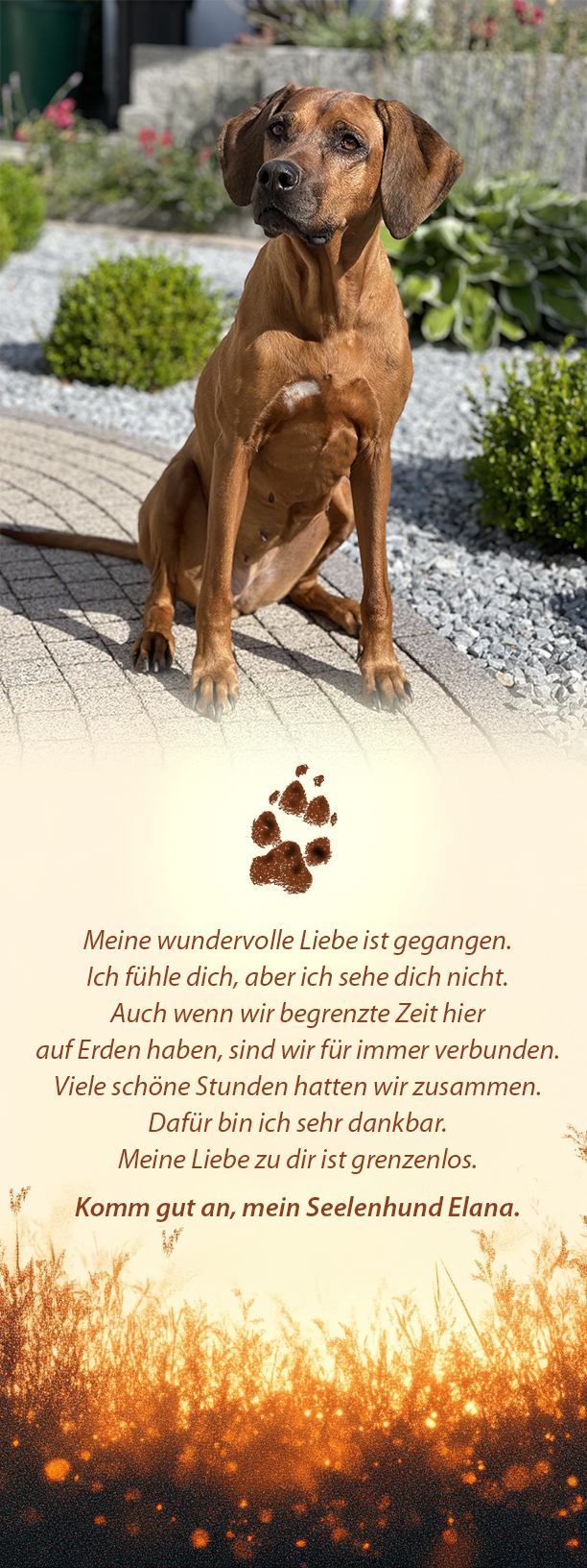 Abschied